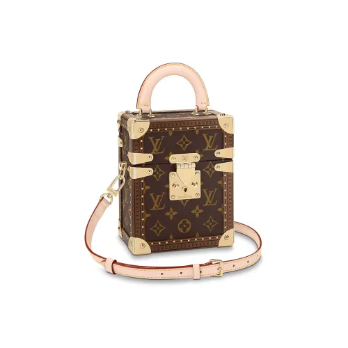 LOUIS VUITTON CAMERA BOX Handbags