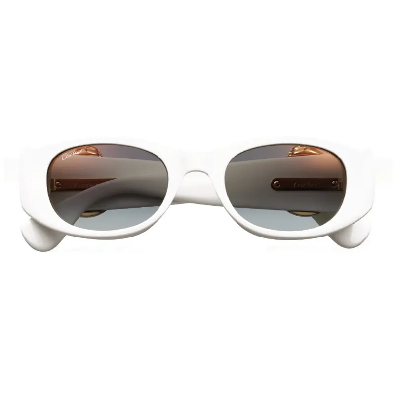CARTIER Metal Plate Oval Sunglasses Unisex White-1