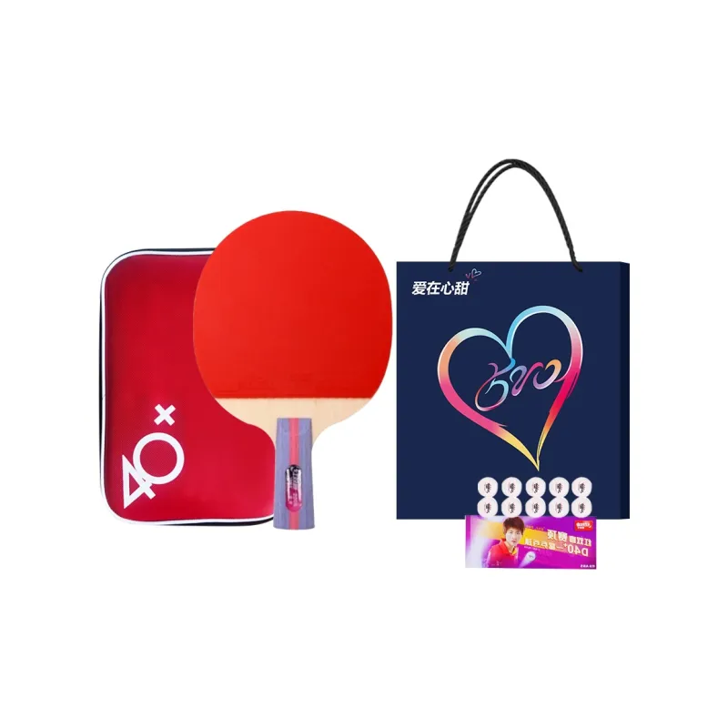 DHS Ping Pong Paddles-10