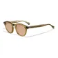 Brown C2