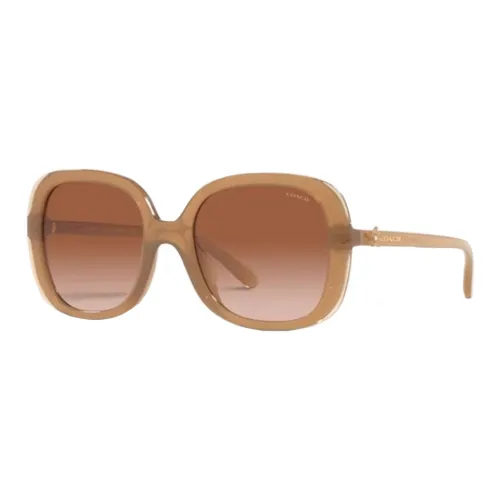 COACH Square Sunglasses Women's Brown