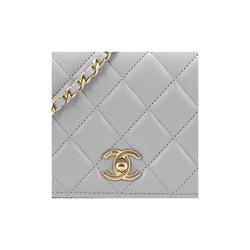 CHANEL Lambskin Woc Wallet On Chain Crossbody Bag, Shoulder Bag Women's Light Gray-4