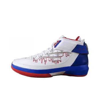 JORDAN 22 Og Rip Hamilton Pe