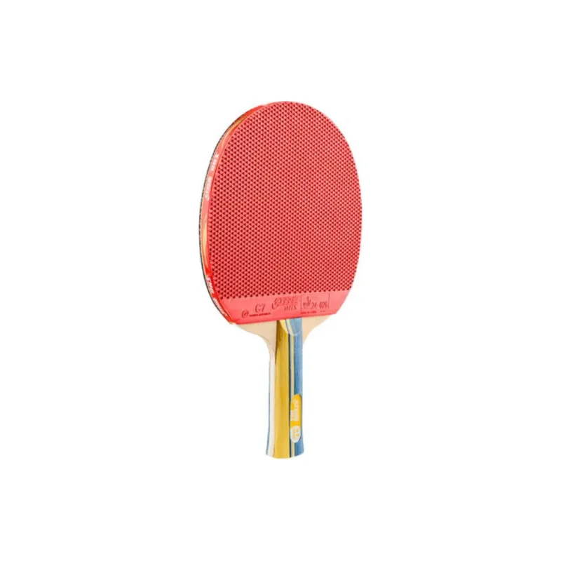 DHS Ping Pong Paddles-2