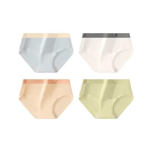 Ordifen Underpants Women's 4 Pack