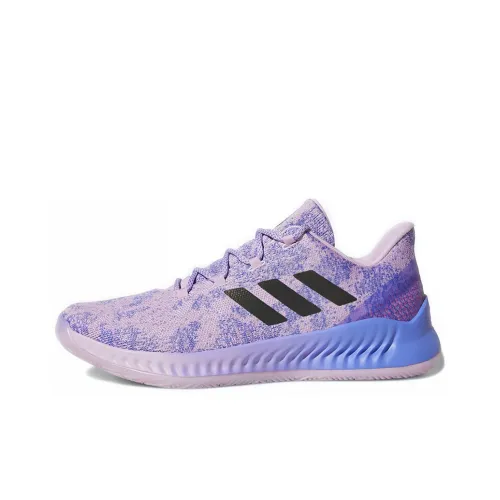 Adidas Harden B/E X Basketball Shoes Men Low-Top Purple