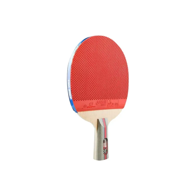 DHS Ping Pong Paddles-5