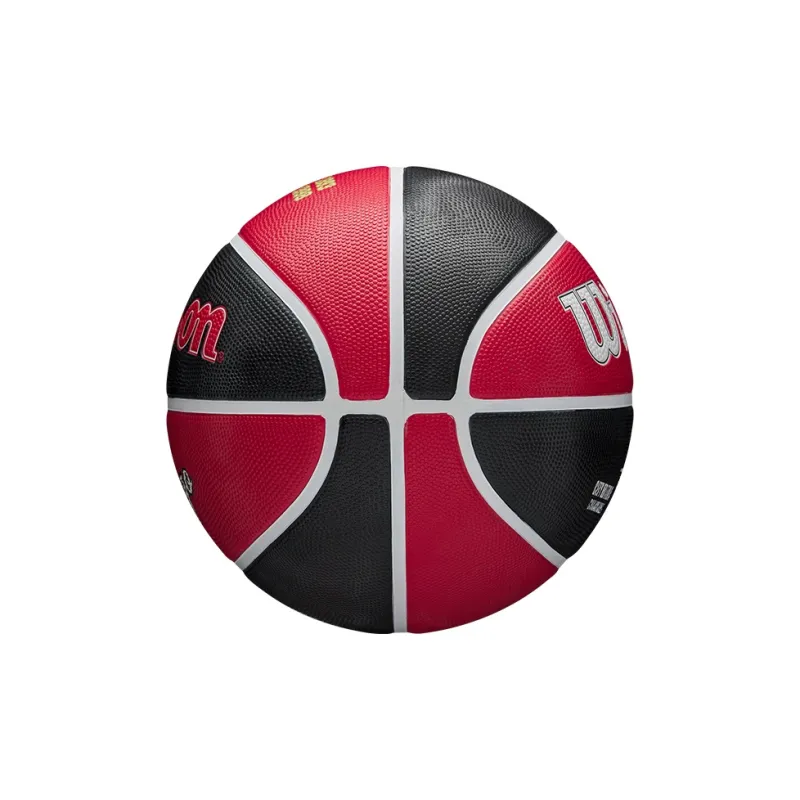 Wilson Basketball-2
