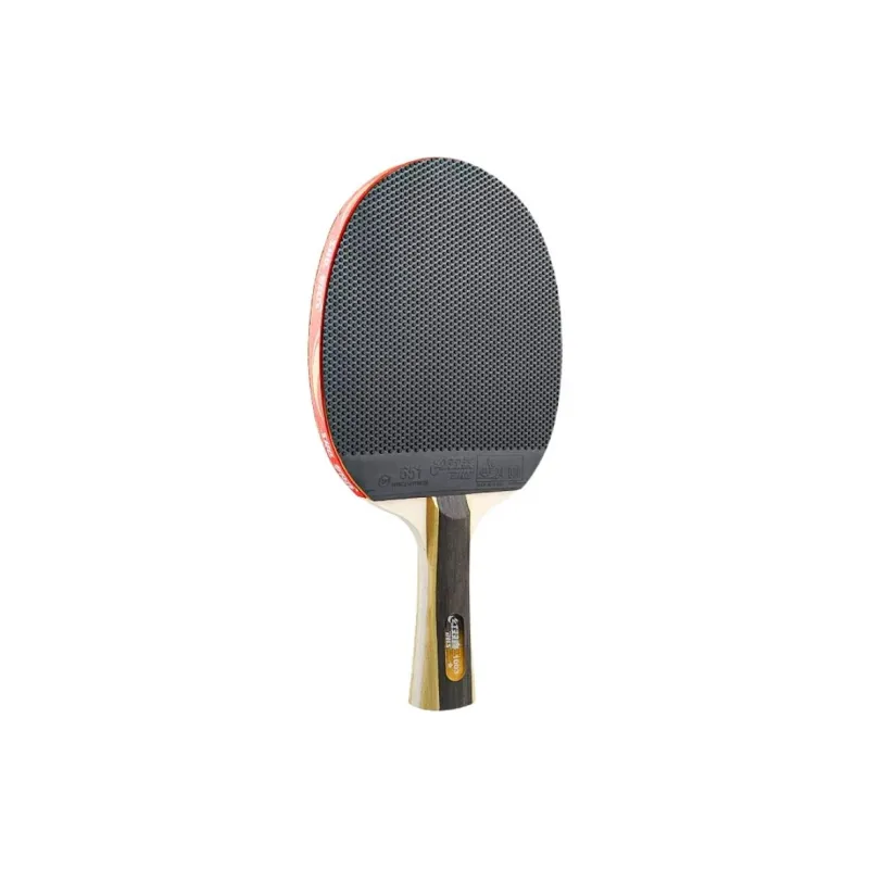 DHS Ping Pong Paddles-0