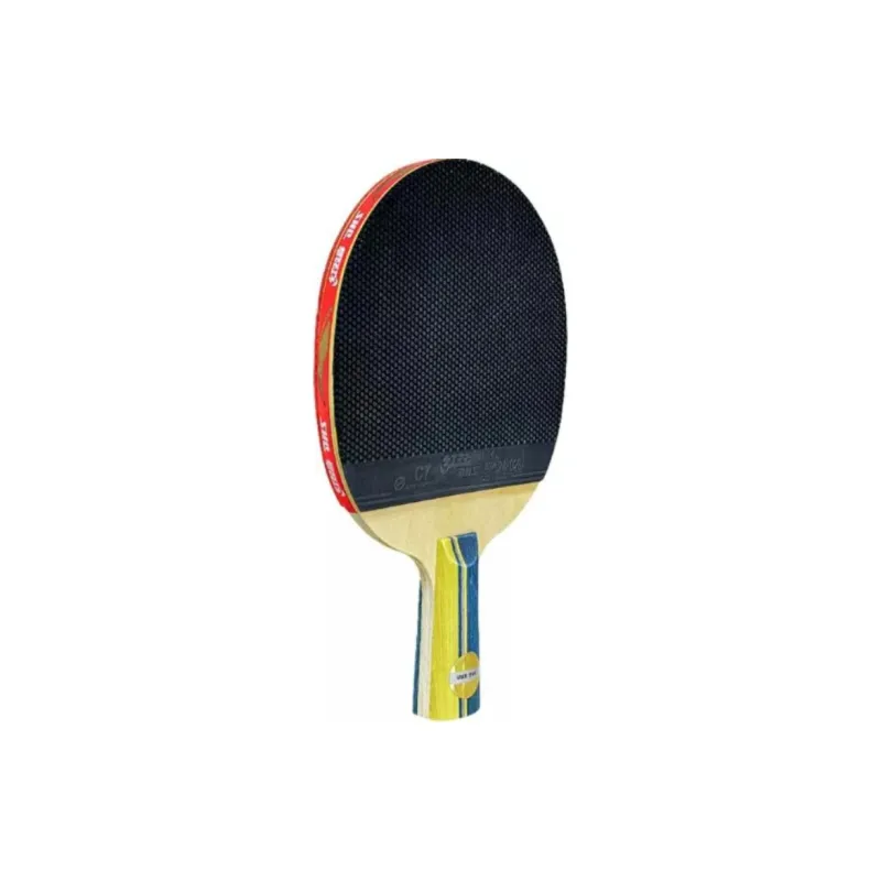 DHS Ping Pong Paddles-3