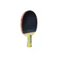 2007 Penhold Grip Short Handle, One Side Long Pips Rubber and One Side Inverted Rubber