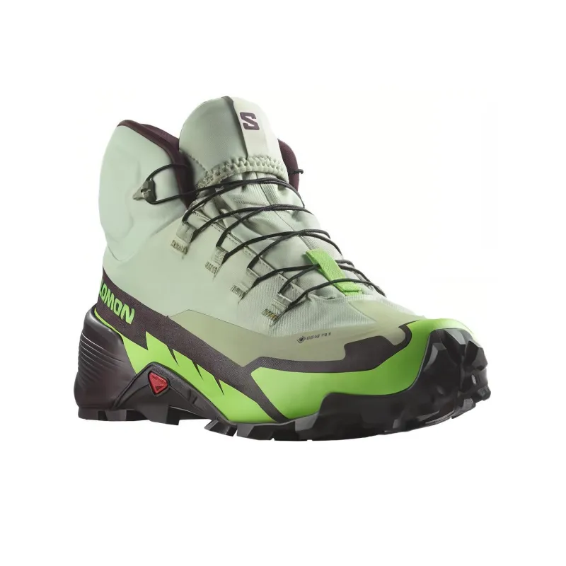 SALOMON Cross Hike 2 Mid GORE-TEX 'Desert Sage Green Gecko'-2