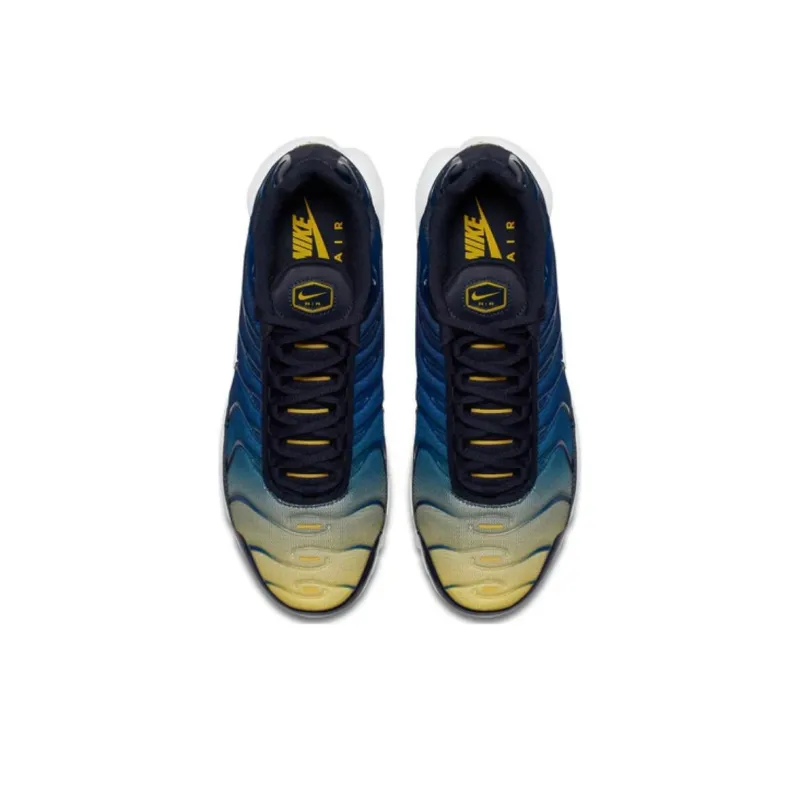 Nike Air Max Plus Gradient Pack Obsidian-3
