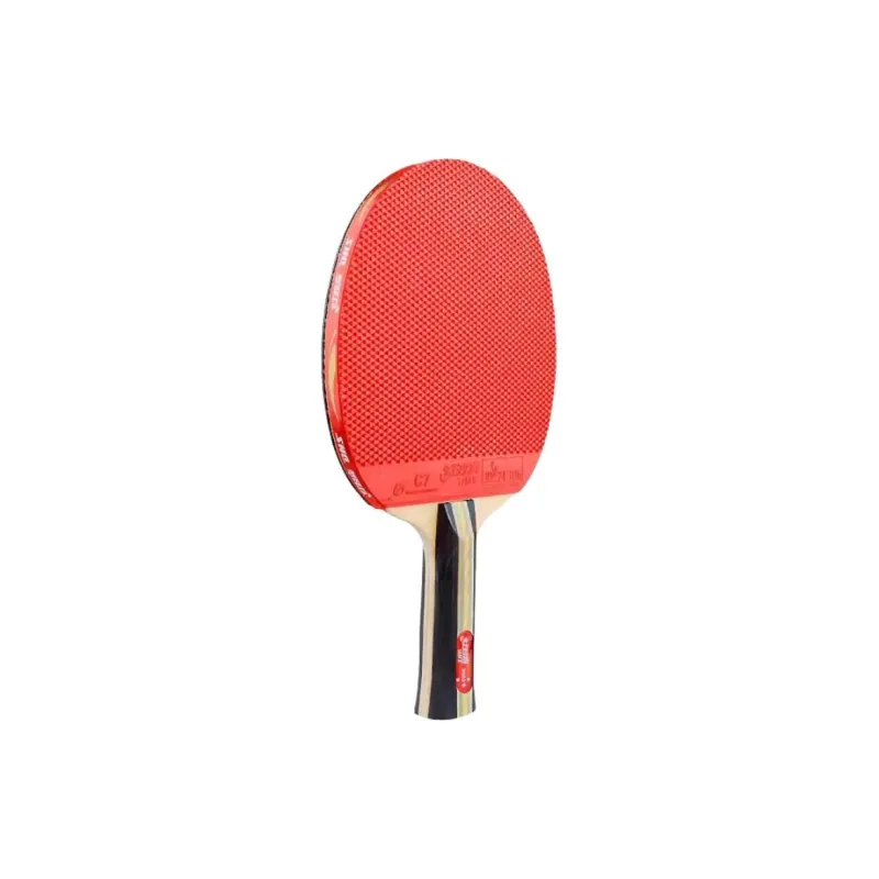DHS Ping Pong Paddles-4