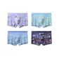 4 Pack (Light Gray+Light Green+Light Blue+Dark Blue)