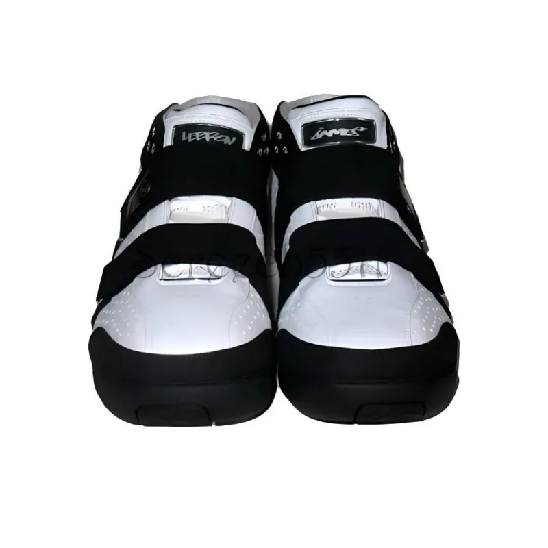 Nike LeBron 20 5 5 Japan-2