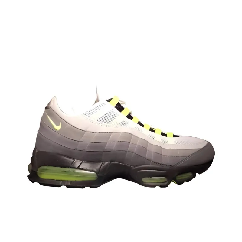 Nike Air Max 95 Neon 2001-1