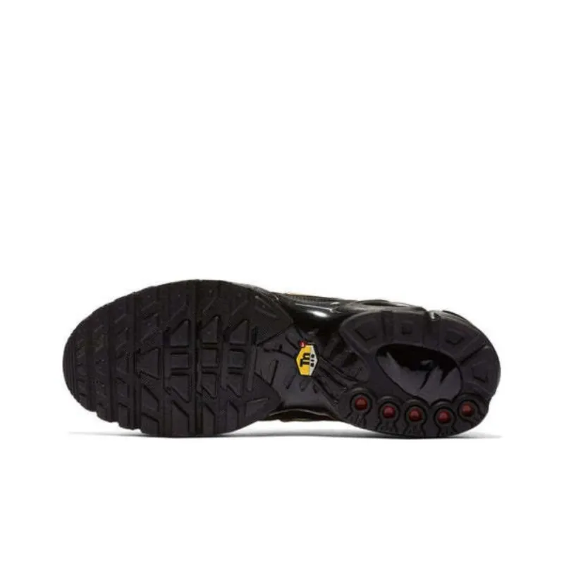 Nike Air Max Plus Gradient Pack Black-4