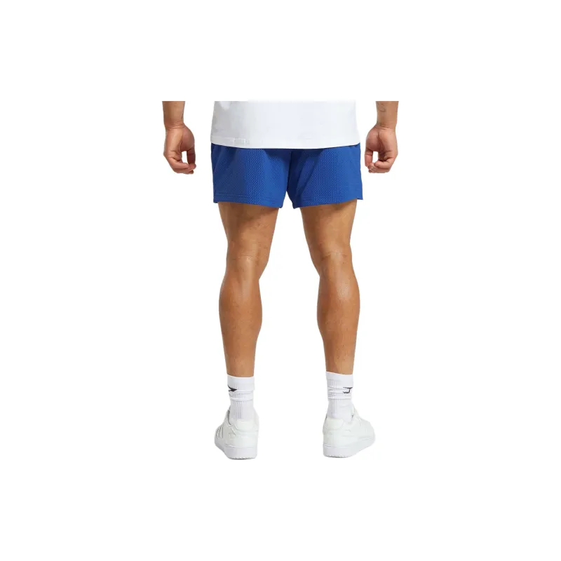 GYMSHARK LIFTING CLUB MESH 5' SHORTS Casual Shorts Men's Blue-1