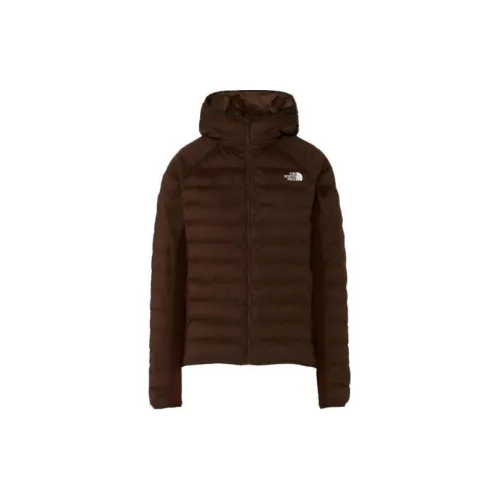 THE NORTH FACE Apparel Collection Puffer Jackets Women's Brown