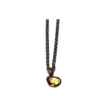 Alighieri Silver Necklaces Women's Gold