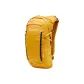 Amber Yellow