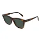 Tortoiseshell