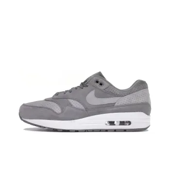 Nike Air Max 1 Cool Grey Wolf Grey
