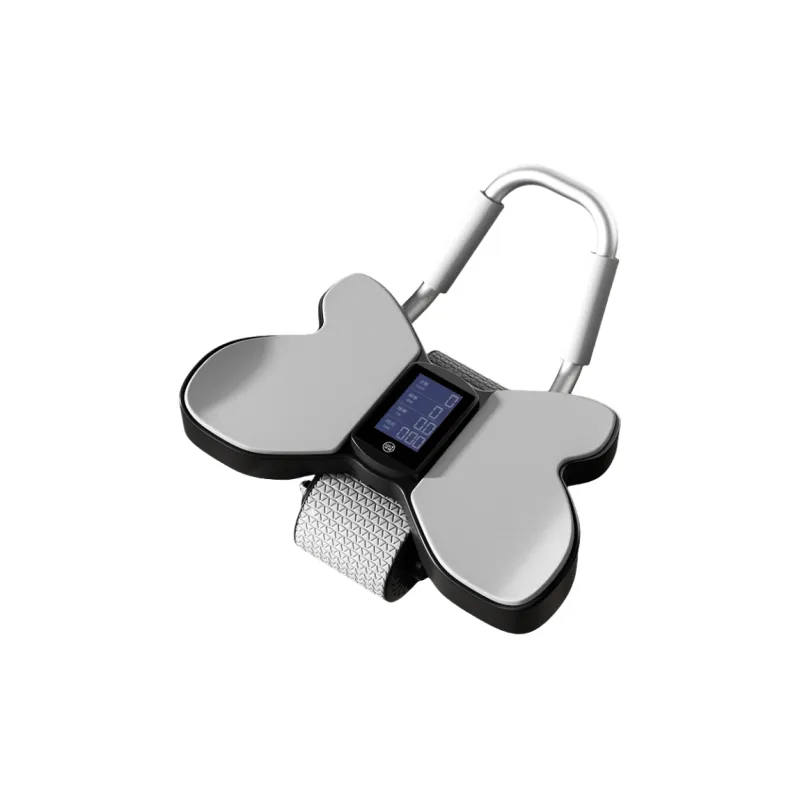 Kaikang Abdominal Rollers-2