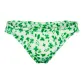 1 Pack (Shamrock My World Botanical Gardens/Trefoil)