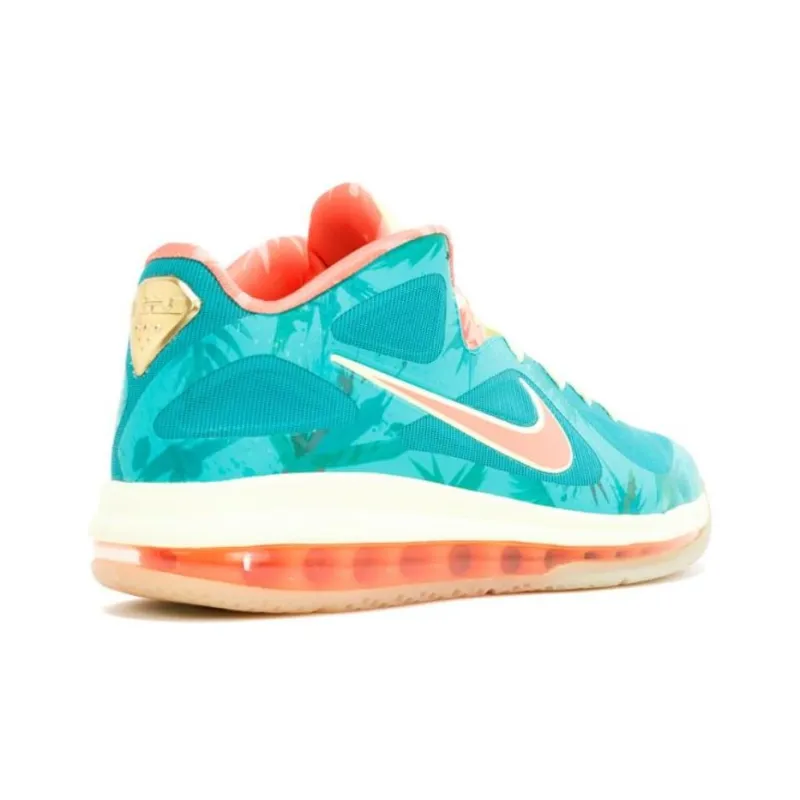 Nike LeBron 9 Low Reverse LeBronald Palmer-2