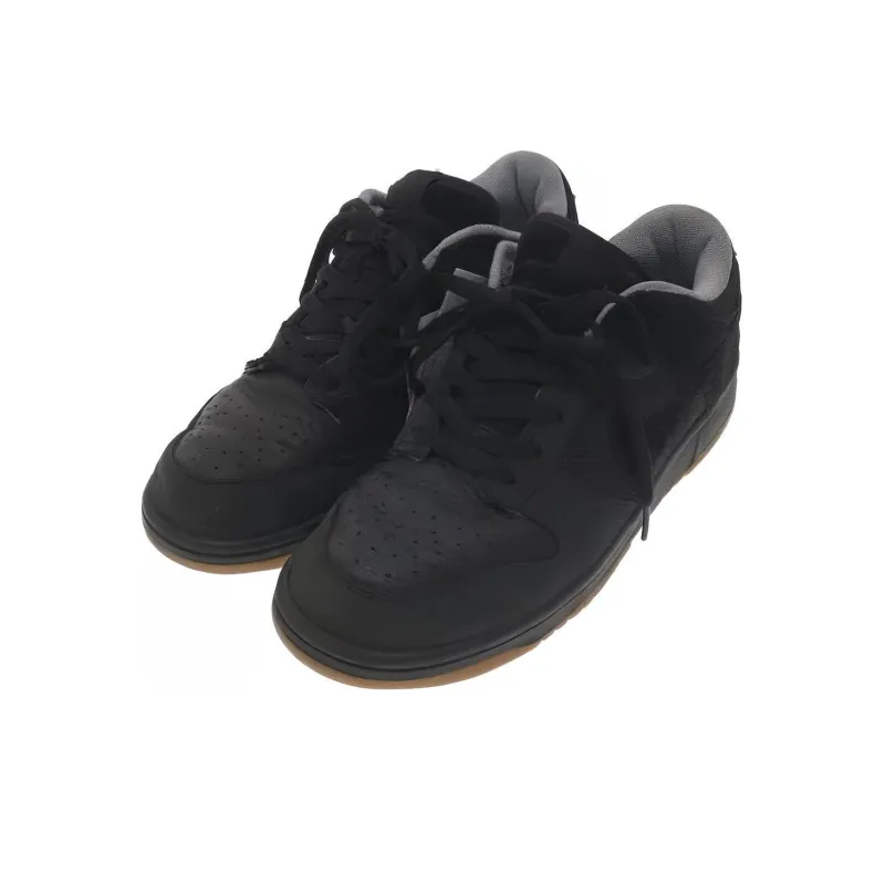 Nike Dunk Low Anthracite Astro-2