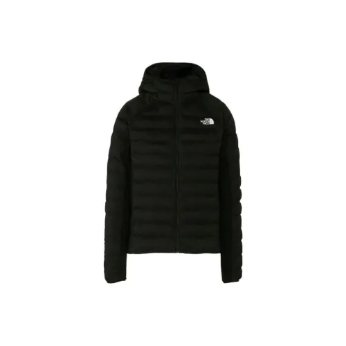 THE NORTH FACE Apparel Collection Puffer Jackets Women's Black