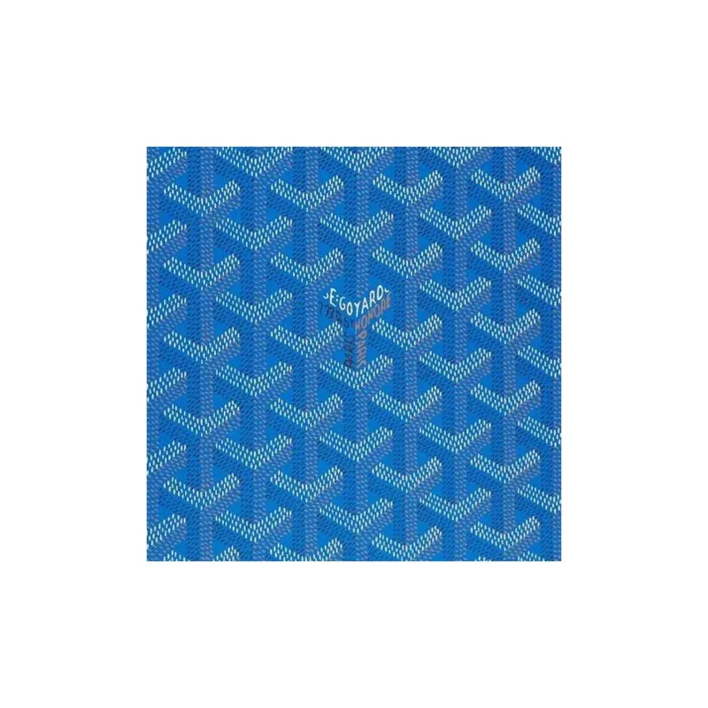 GOYARD Canvas With Calfskin Storage Bag Unisex Blue-2