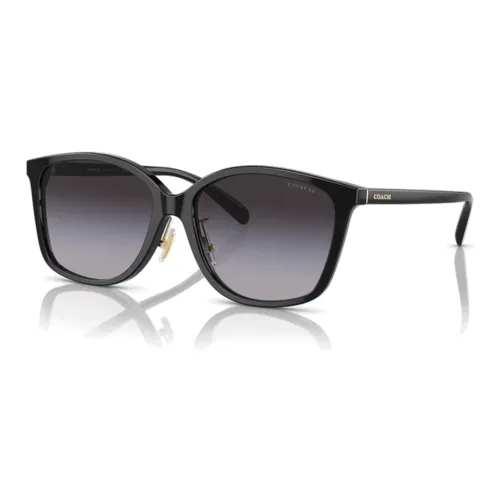 COACH Sunglasses Women's