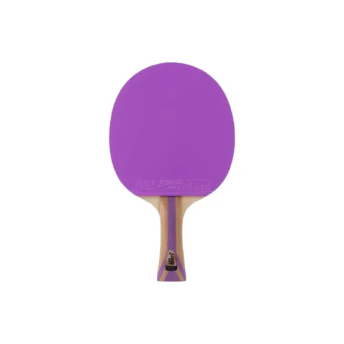 DHS Ping Pong Paddles