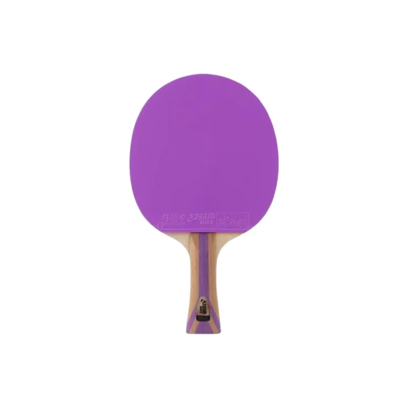 DHS Ping Pong Paddles-0