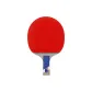 Arthur E7 Star Single Racket[Penhold Grip]