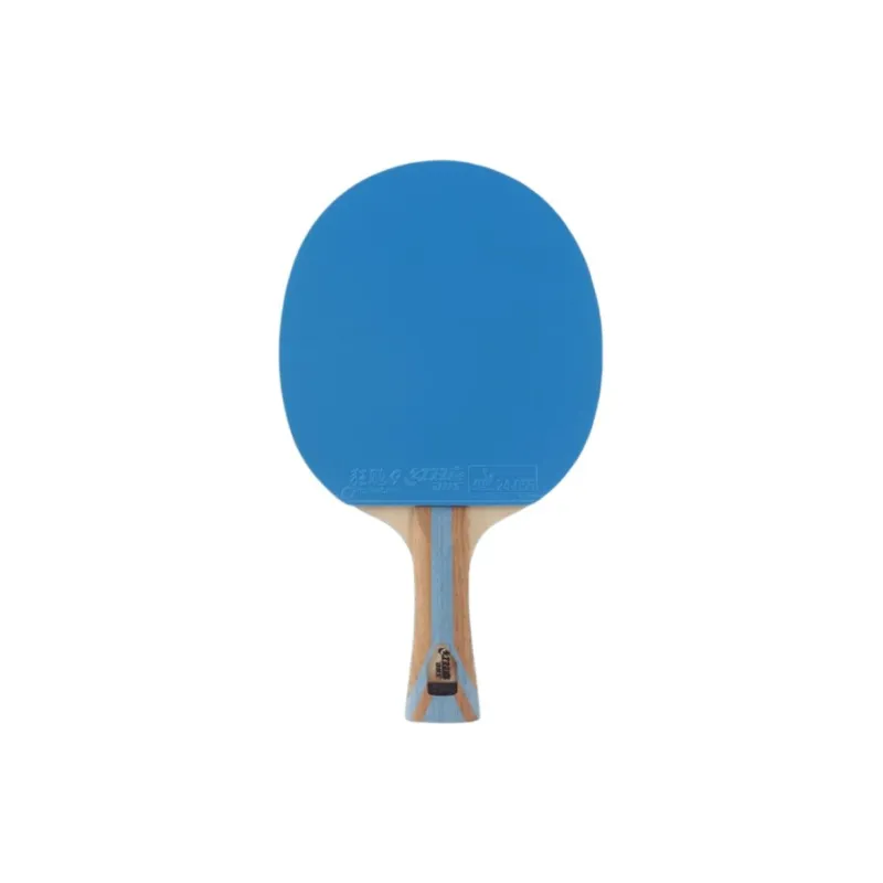 DHS Ping Pong Paddles-3