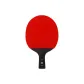 Arthur E9 Star Single Racket[Penhold Grip]