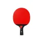 Arthur E8 Star Single Racket[Penhold Grip]