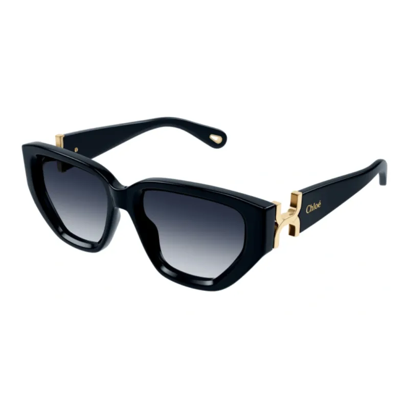 Chloe Plastic Irregular Shape Sunglasses Women's Black-0