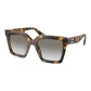 Tortoiseshell