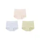 [3 Pack]Champagne+Gray+Tea Green