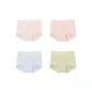 Champagne+Blush Pink+Gray+Tea Green