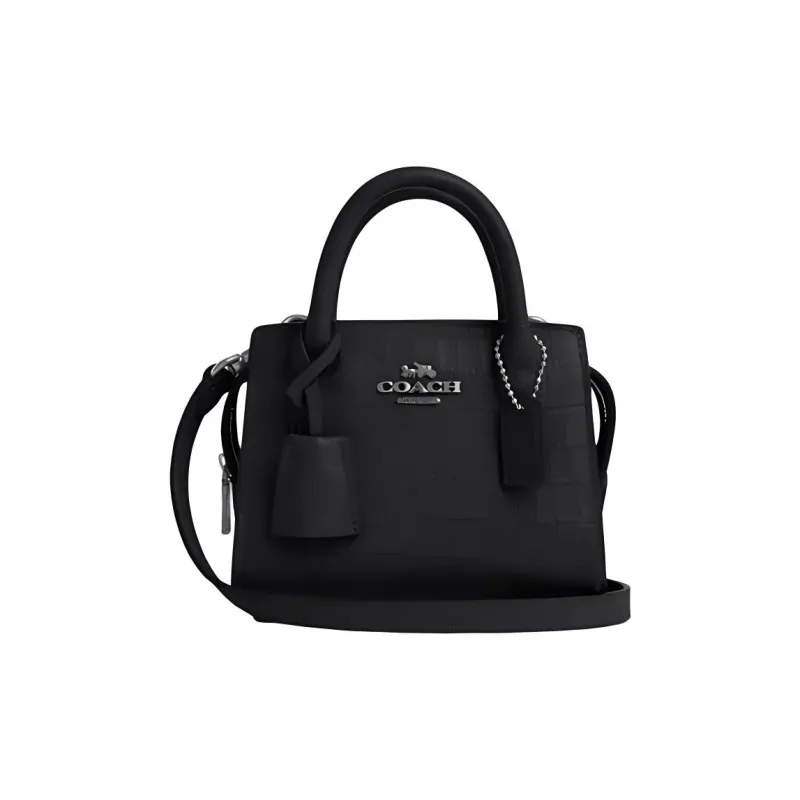 COACH Leather Shoulder Bag Crossbody Bag Handbag Mini Women's Silver & Black-0
