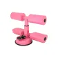 Pink[Upgraded]Assistant