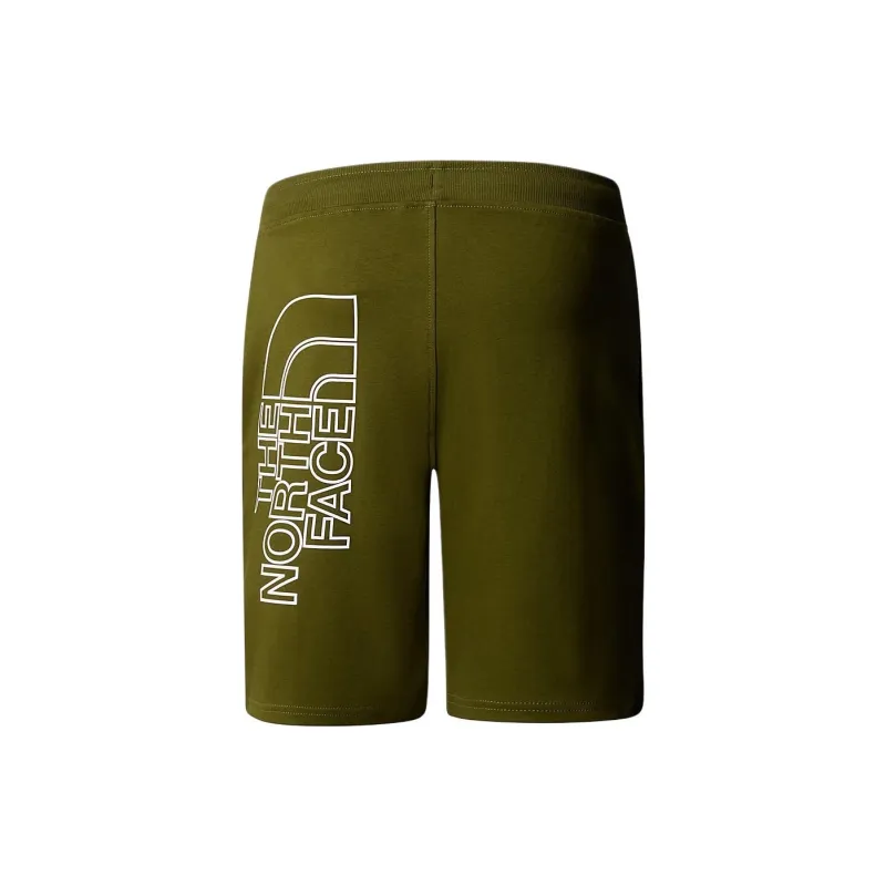 THE NORTH FACE MEN'S GRAPHIC LIGHT SHORTS Casual Shorts Men's Olive Green-1