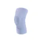 Blue Purple 1 Pack