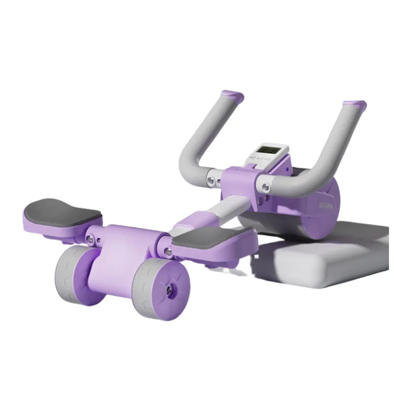 Kaikang Multifunctional Home Use Flat Support Unisex New Arrival 3 Wheel Abdominal Roller-3